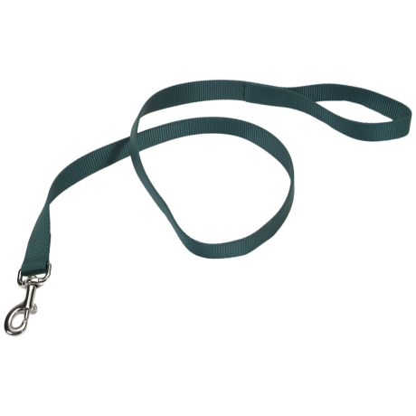 Coastal 1 and Dog Lead Hunter Green 4 Feet Long 1 and Wide