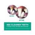 tropiclean-fresh-breath-no-brushing-clean-teeth-dental-oral-care-gel-for-dogs-2oz (1)