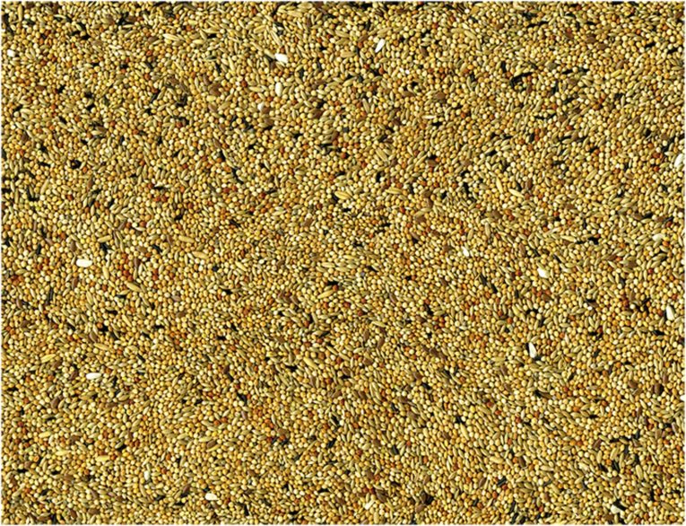 vadigran-budgies-4-kg-1
