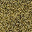 vadigran-canaries-1-kg-1