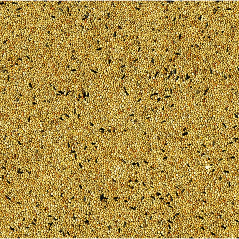 vadigran-canaries-4-kg-1