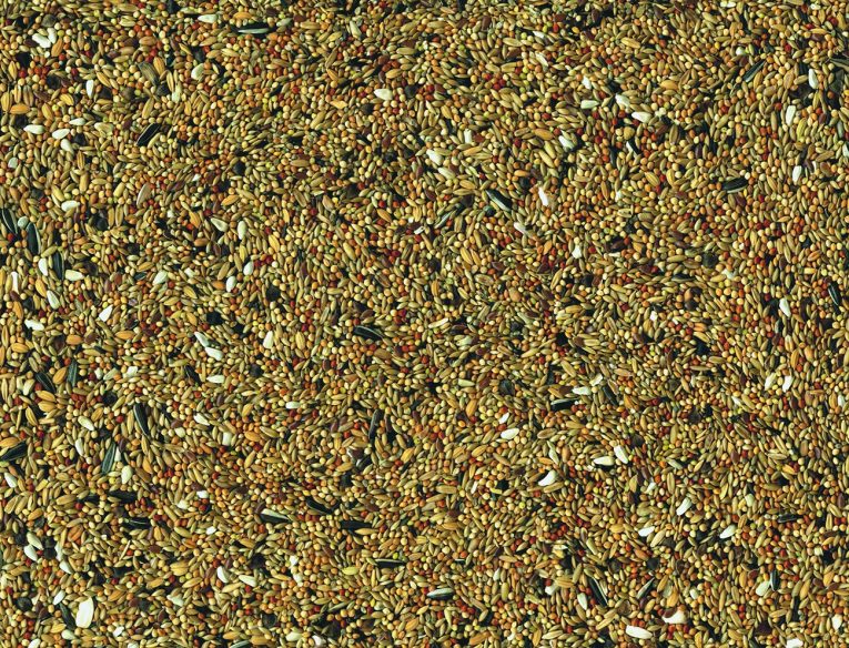 vadigran-parakeet-1-kg-1
