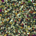 vadigran-parrot-tropical-25-kg-with-mix-fruits-1