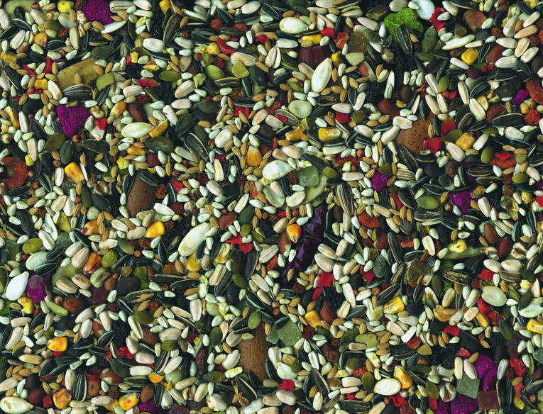 vadigran-parrot-tropical-25-kg-with-mix-fruits-1