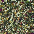 vadigran-parrot-tropical-650-gr-with-mix-fruits-2