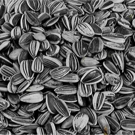 Vadigran Sunflower Seed Small Striped 2,5 Kg