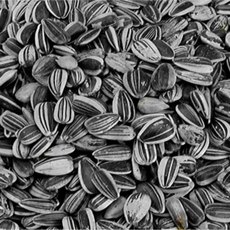 vadigran-sunflower-seed-small-striped-25-kg