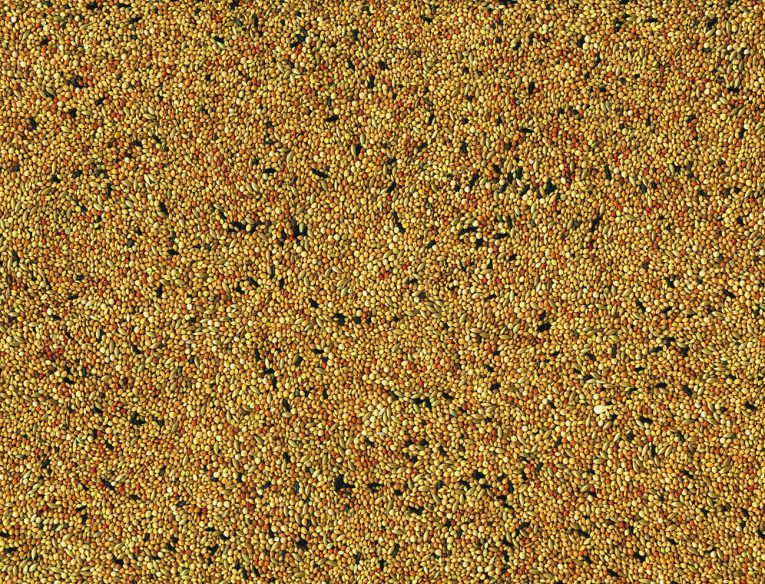 vadigran-tropical-finches-1-kg-1