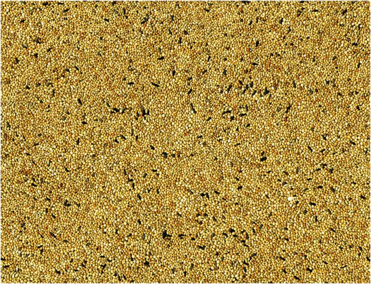 vadigran-tropical-finches-4-kg 2