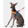 vetreska-chroma-pet-harness-leash-set-red-m (11)