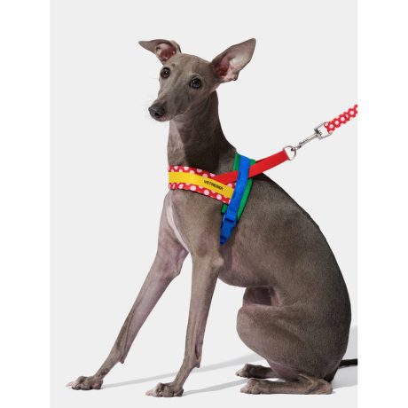 Vetreska Chroma Pet Harness & Leash Set-red (M)