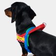 vetreska-chroma-pet-harness-leash-set-red-m (3)