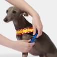 vetreska-chroma-pet-harness-leash-set-red-m (9)