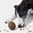 vetreska-coffee-pet-feeder-toy (3)