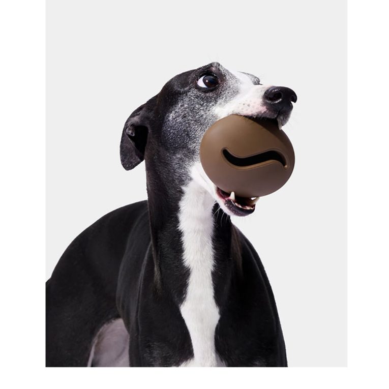 vetreska-coffee-pet-feeder-toy