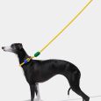 vetreska-connect-hands-free-rope-leash-for-pets-chroma (10)
