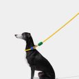 vetreska-connect-hands-free-rope-leash-for-pets-chroma (11)