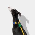vetreska-connect-hands-free-rope-leash-for-pets-chroma (8)