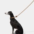 vetreska-connect-hands-free-rope-leash-for-pets-coffee (8)