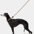vetreska-connect-hands-free-rope-leash-for-pets-coffee (9)