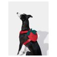vetreska-strawberry-pet-backpack-harness-leash-set-xxs