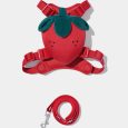 vetreska-strawberry-pet-backpack-harness-leash-set-xxs (4)