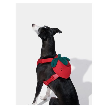 Vetreska Strawberry Pet Backpack, Harness & Leash Set (XXS)