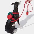 vetreska-strawberry-pet-backpack-harness-leash-set-xxs (8)