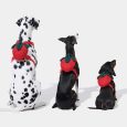 vetreska-strawberry-pet-backpack-harness-leash-set-xxs (9)