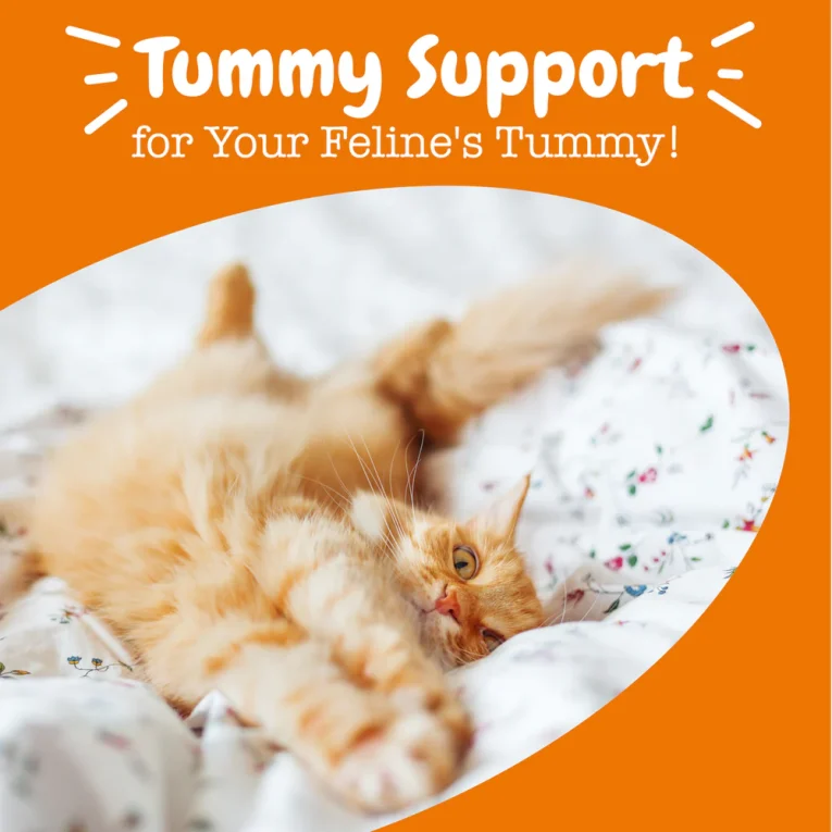 810030594246_ProbioticPowders_30Ct_Lifstyle-1200x1200-bd93c0f